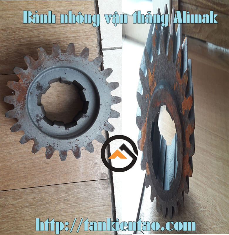 BÁNH NHÔNG VẬN THĂNG LỒNG bánh nhông alimak - BÁNH NHÔNG VẬN THĂNG LỒNG
