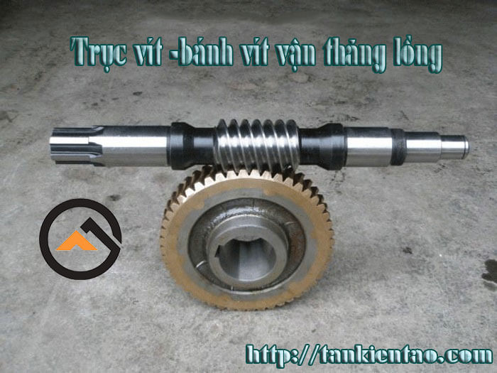 Trục vít bánh vít vận thăng lồng trục vít bánh vít vận thăng - Trục vít bánh vít vận thăng lồng