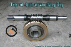 Trục vít bánh vít vận thăng